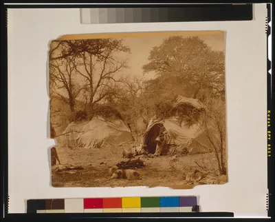 A camp among the oaks, 1903