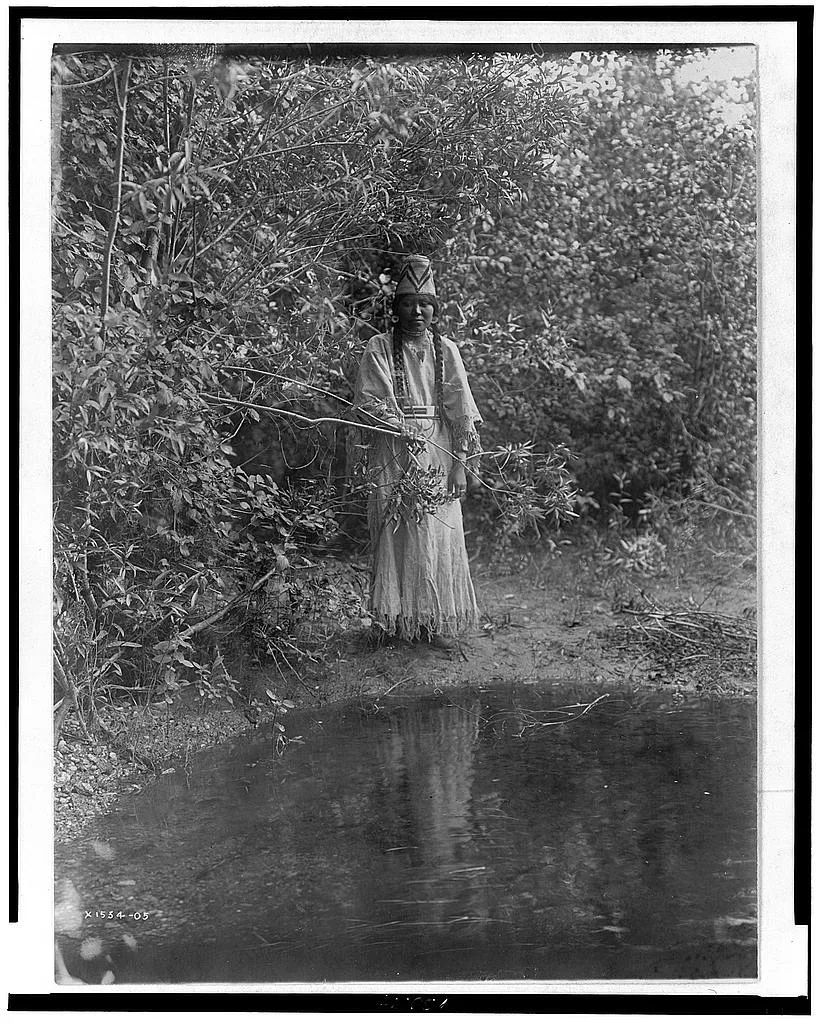 Out of the forests' depths stepped an Indian maiden, 1905