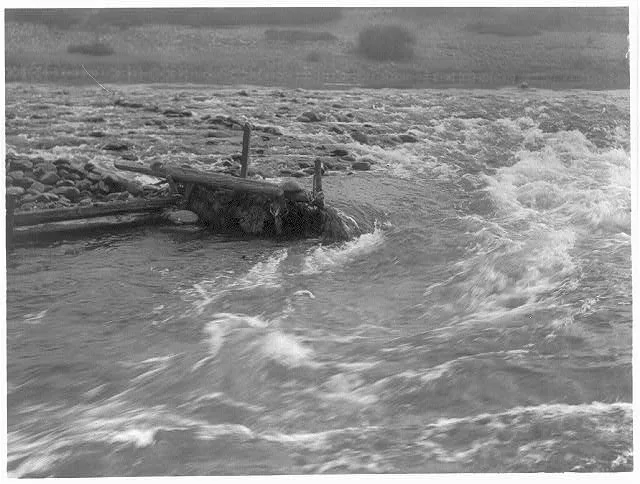 Broken fish-weir, Pacific, 1923