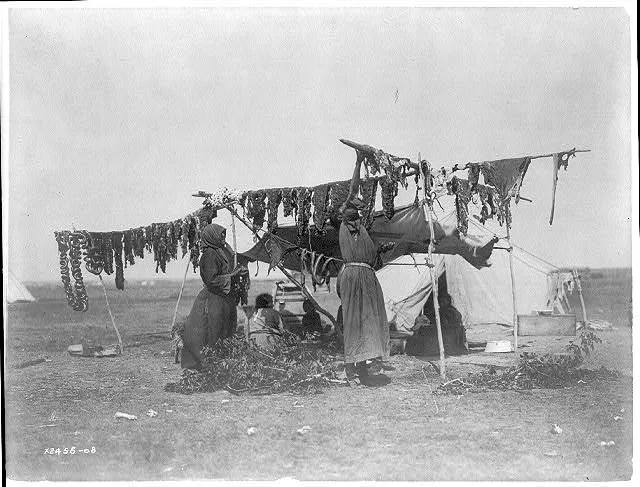 Drying meat, 1908