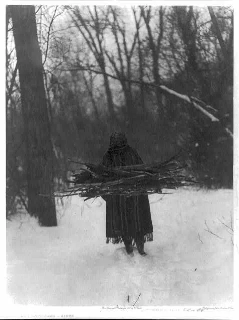 The wood gatherer--Sioux, 1908