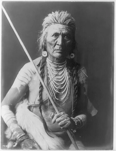 Wolf--Apsaroke, Montana, 1908