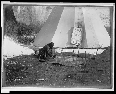 Hide scraping--Apsaroke, Montana, 1908