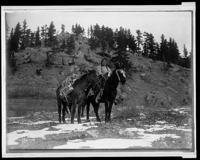 Pack horse [i.e., packhorse]--Apsaroke, Montana, 1908
