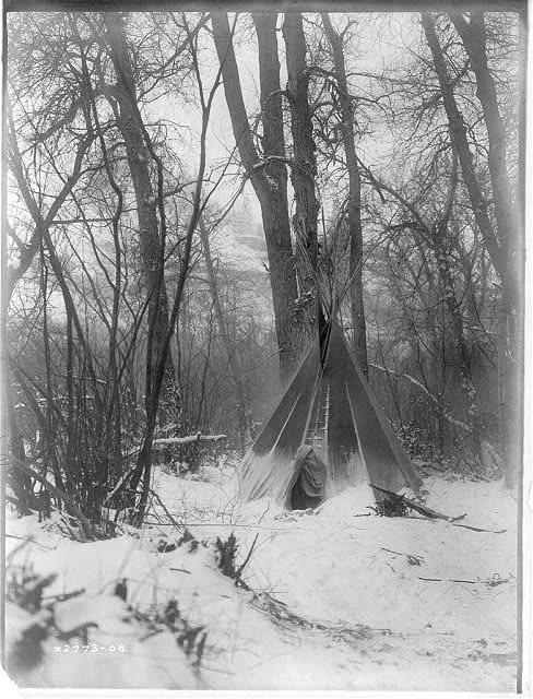 In the forest, North Dakota, 1908