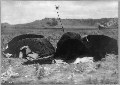 Atsina Fly Dance, Montana, 1908