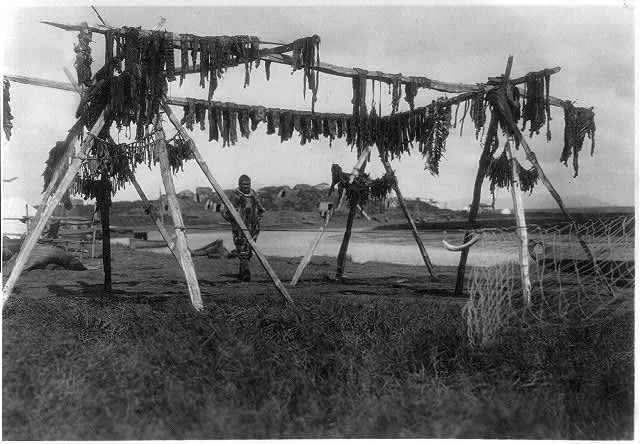 Eskimos in Alaska: Drying whale meat, Hooper Bay, 1929
