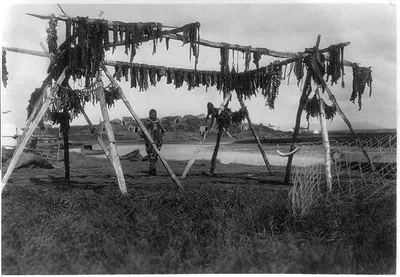 Eskimos in Alaska: Drying whale meat, Hooper Bay, 1929