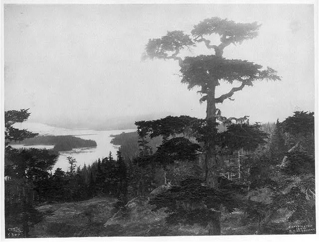 [Columbia Glacier, from Heather Island], 1899
