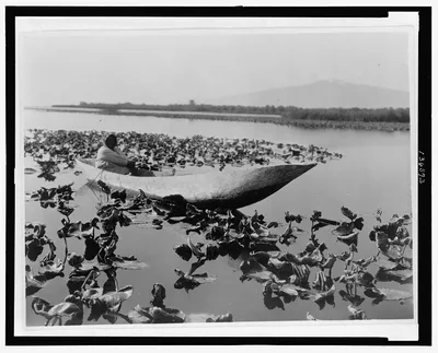 The wokas season--Klamath, Oregon, 1923