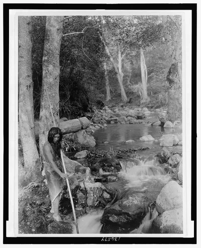 The salmon stream, 1923