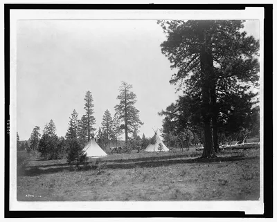 A mountain camp--Yakima, 1910