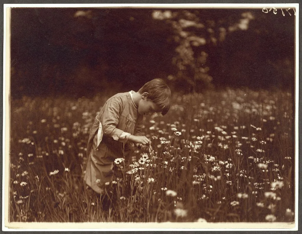 Quentin Roosevelt catching June bugs, Oyster Bay, New York, 1904
