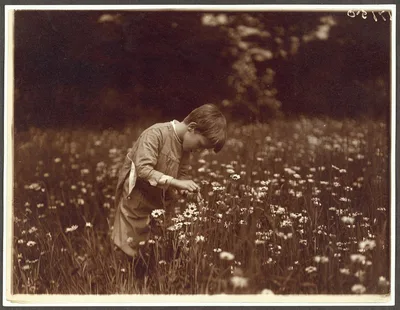 Quentin Roosevelt catching June bugs, Oyster Bay, New York, 1904