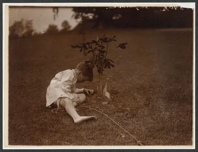 Quentin Roosevelt planting a tree, Oyster Bay, New York, 1904
