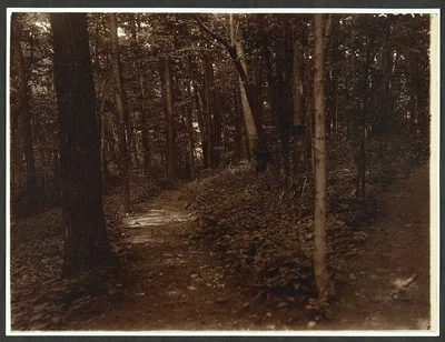 Thro' the woods, Sagamore Hill, Oyster Bay, New York, Sagamore Hill National Historic Site, 1904