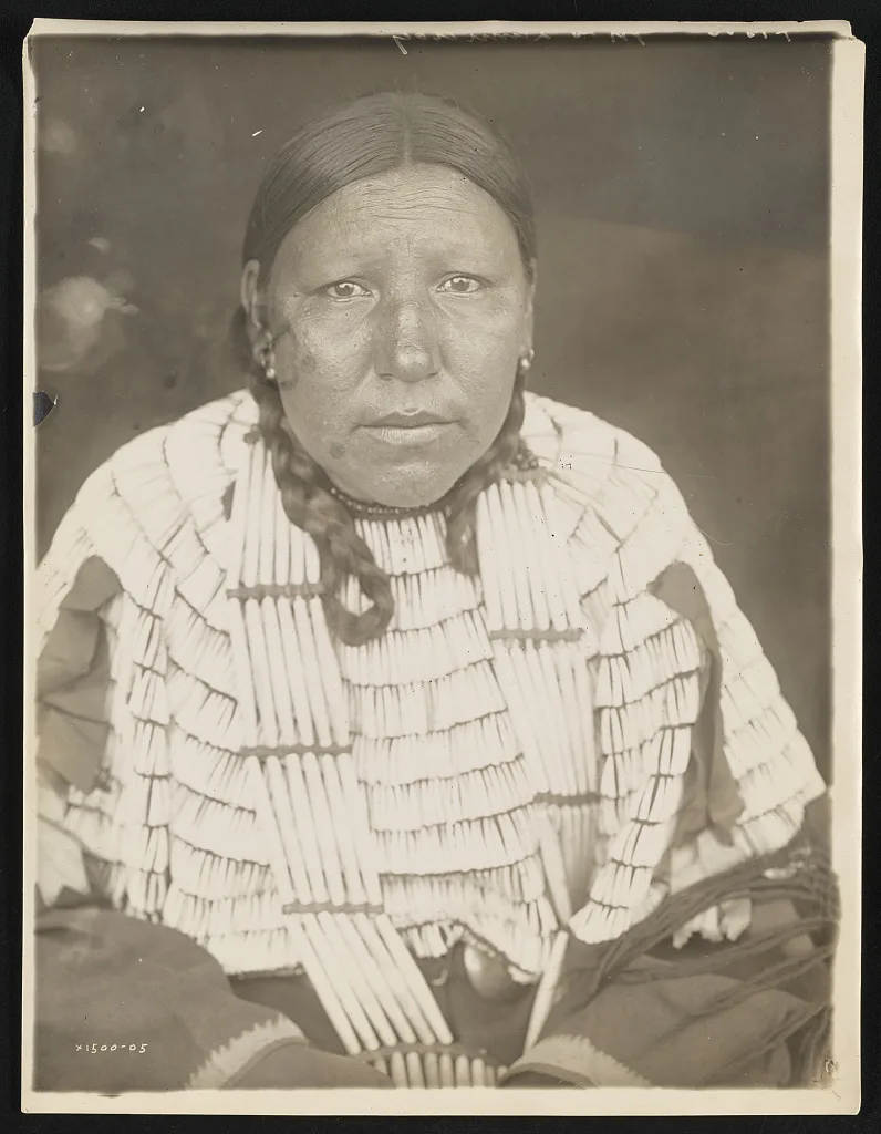 Hard Wood, 1905