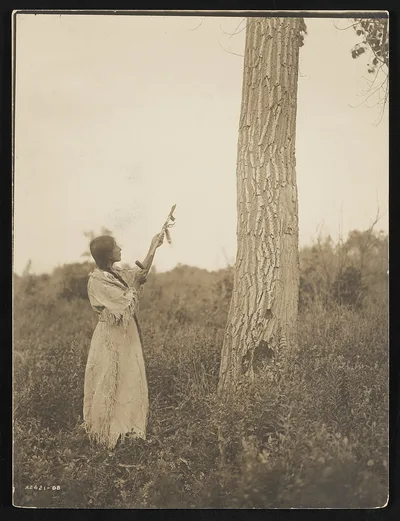 Offering the pipe, 1908
