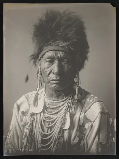 Big Magpie, 1908