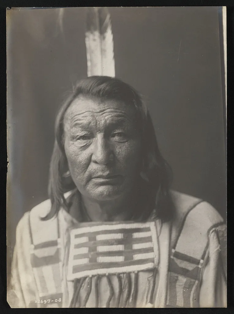 Bull Snake, 1908