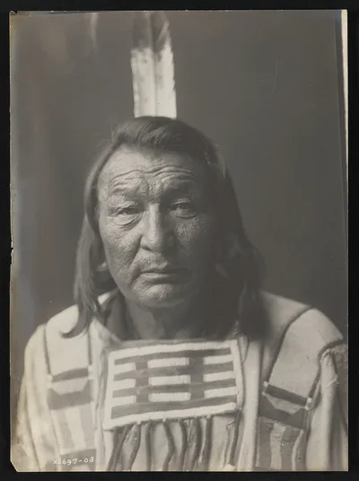 Bull Snake, 1908