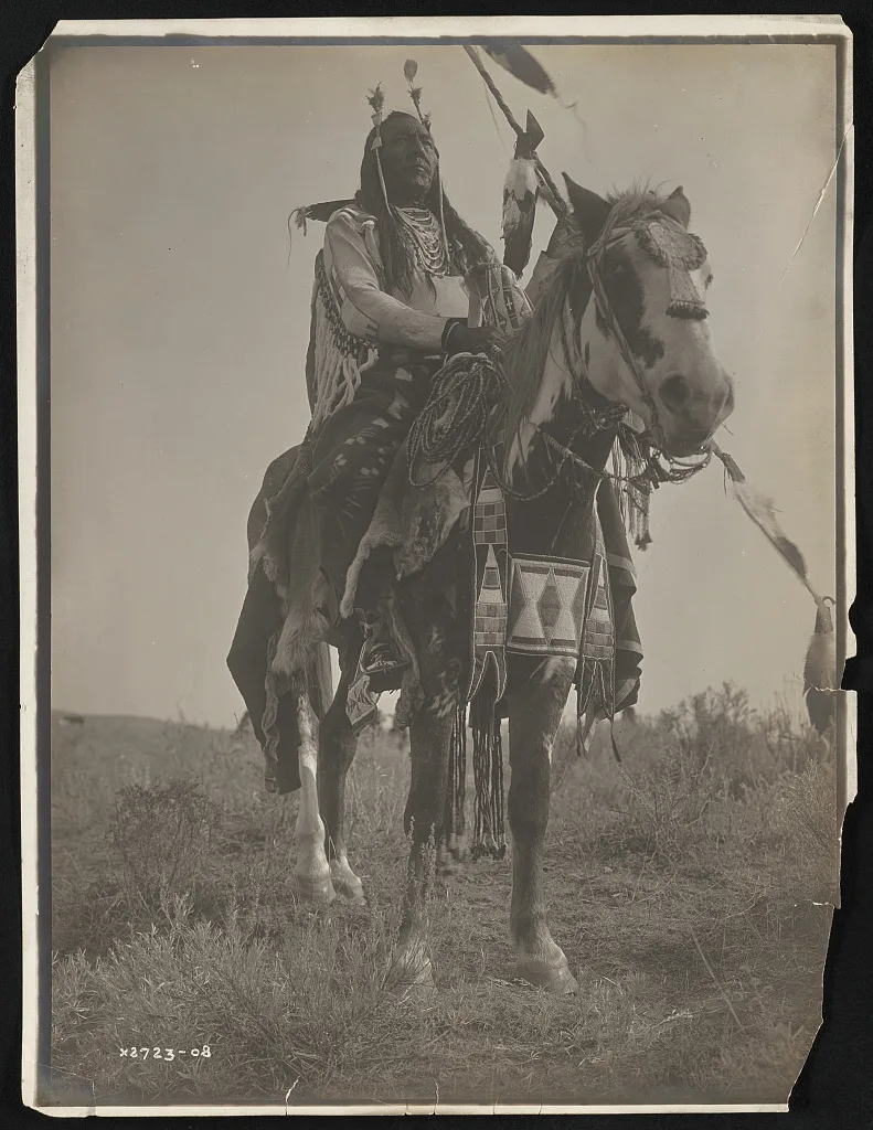 Bird On the Ground, 1908