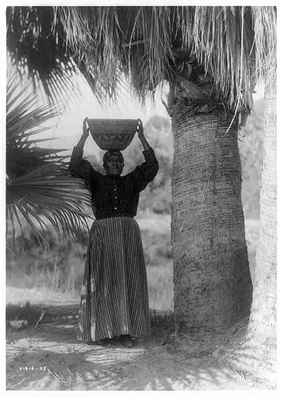 The harvester--Cahuilla, 1905
