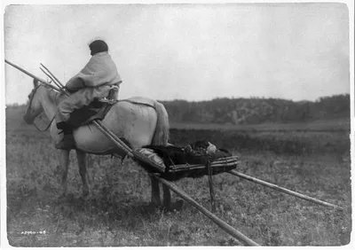 [Atsina Indian on horse pulling travois], 1908