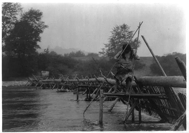 Fish-weir across Trinity River--Hupa, California, 1923