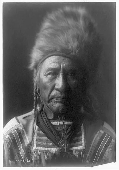 Old Dog--Apsaroke, Montana, 1908