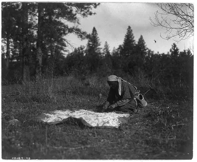 Drying Piahe--Yakima, Washington, 1909