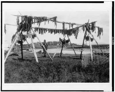 Drying whale meat--Hooper Bay, Alaska, Hooper Bay, 1929