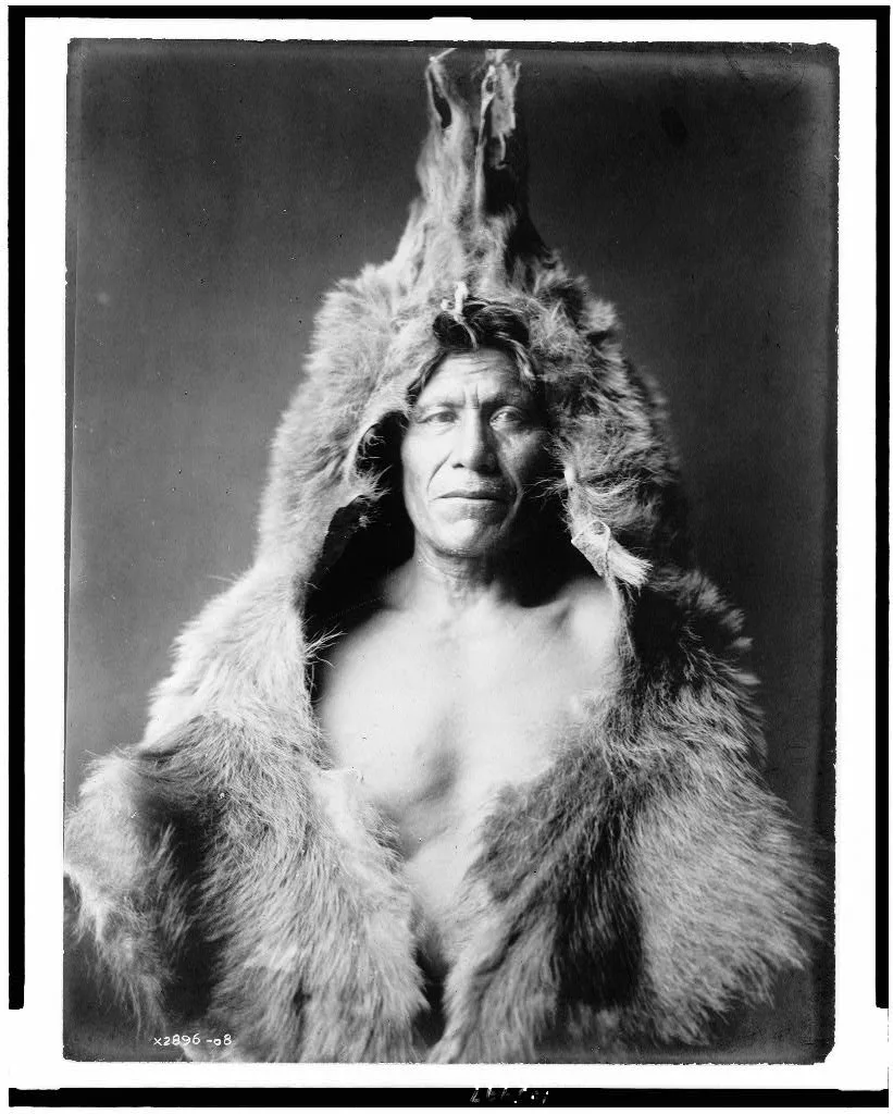 [Bear's Belly, Arikara Indian half-length portrait, facing front,…, 1908