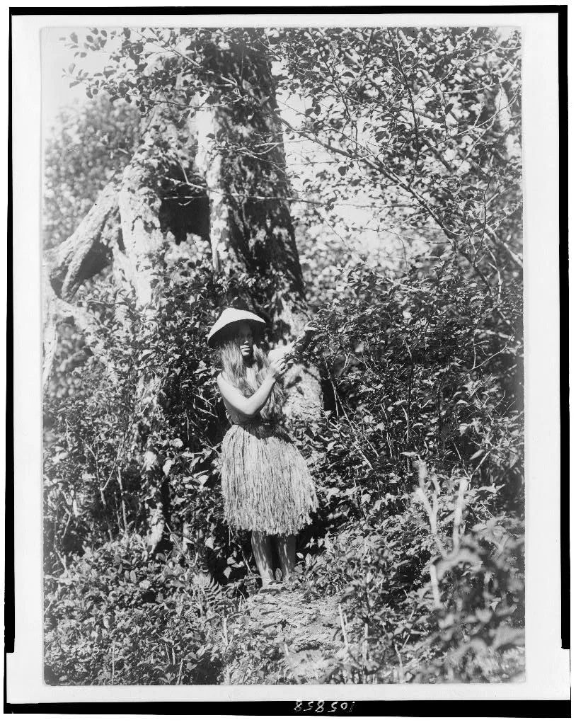 Quinault berry picker, Washington, 1913
