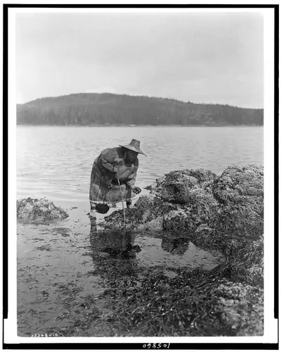 Gathering abalones--Nakoaktok, British Columbia, 1910