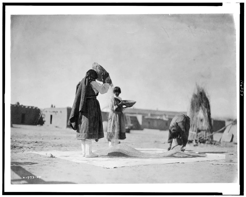 [Winnowing wheat--San Juan], New Mexico, 1905