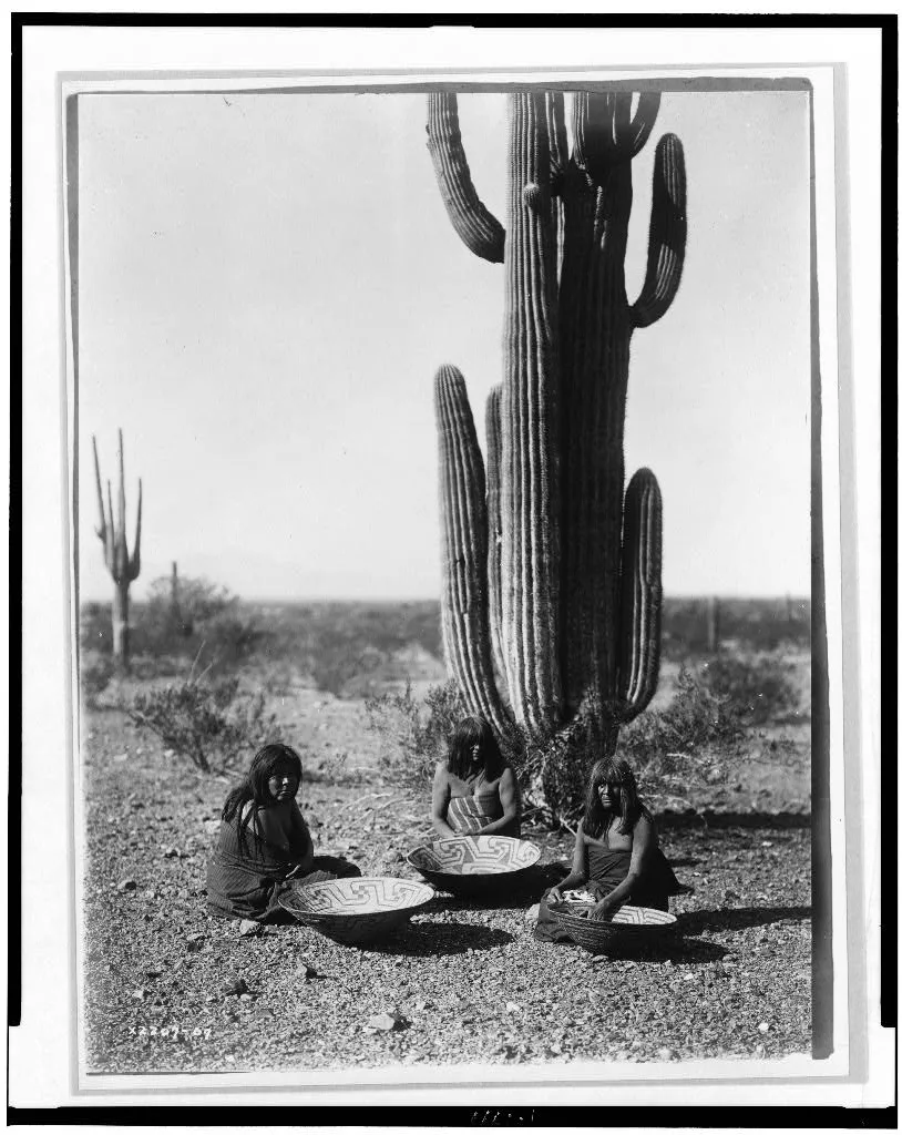 [Saguaro gatherers], Arizona, 1907