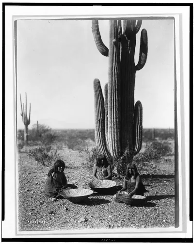 [Saguaro gatherers], Arizona, 1907