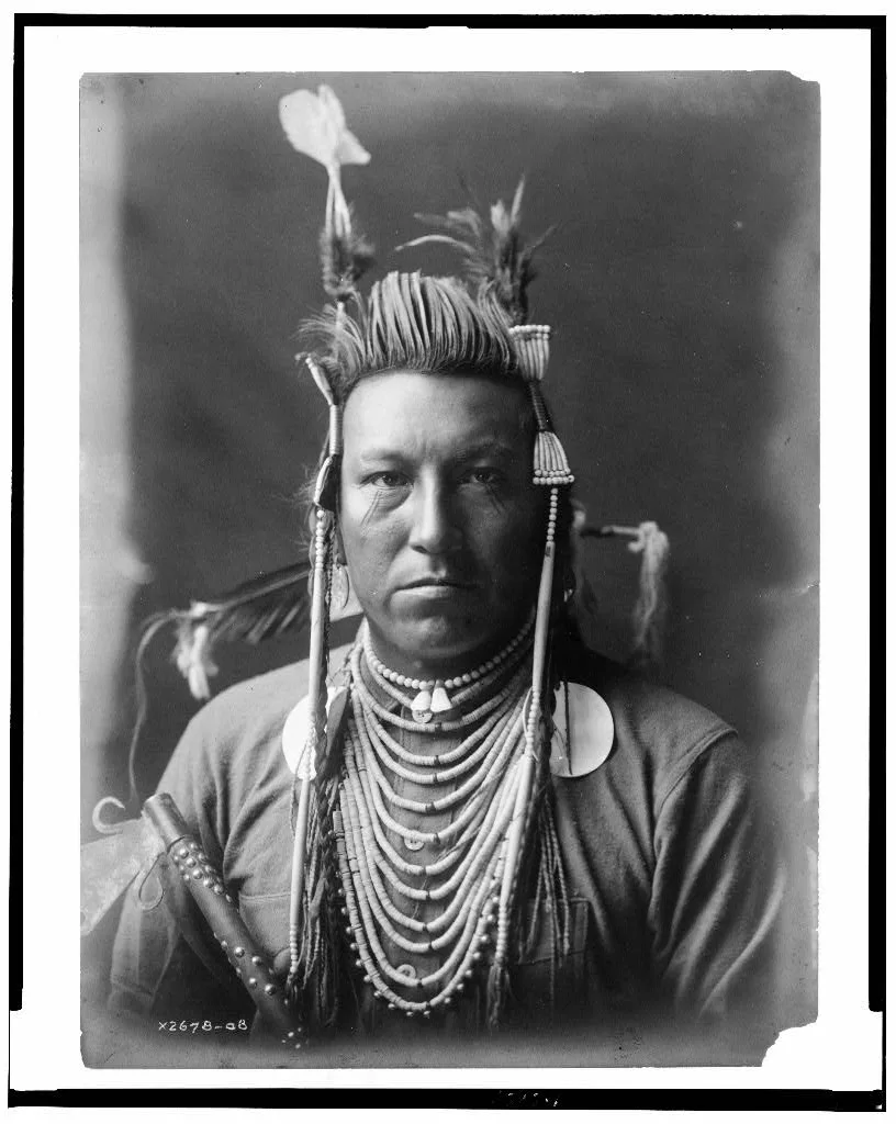 [Swallow Bird, Crow Indian, Montana, head-and-shoulders portrait,…, 1908