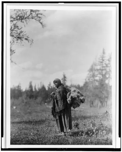 Moss for the baby-bags--Cree, 1927