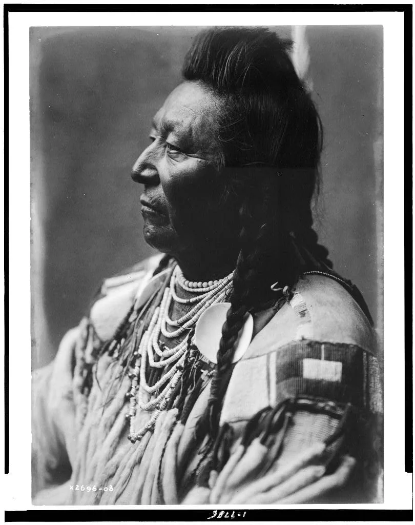 [Plenty Coups, Crow Indian, head-and-shoulders portrait, facing left,…, 1908