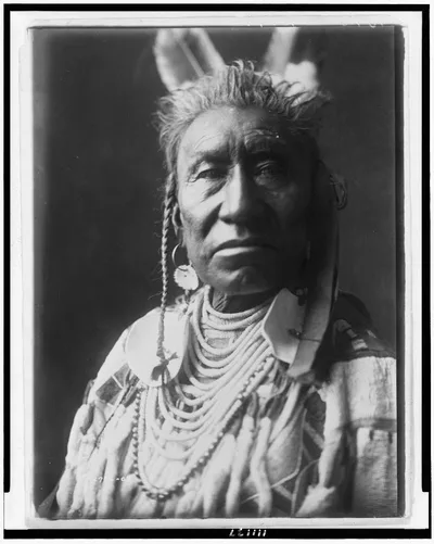 [Fish Shows, an Apsaroke Indian, head-and-shoulders portrait, facing…, 1908