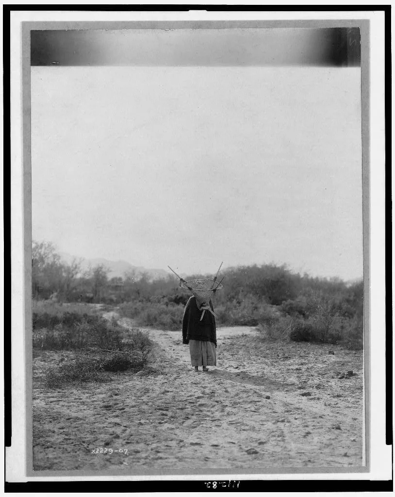 [Pima woman, with burden basket on back, walking away from camera,…, Arizona, Pima, 1907