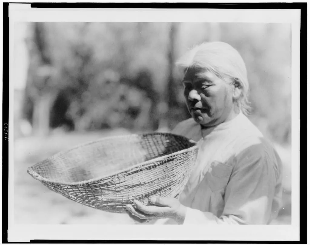 Sifting basket--southern Miwok, California, 1924