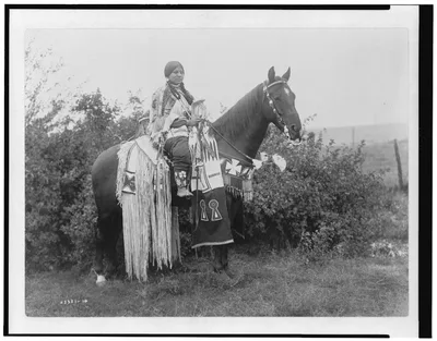 Holiday trappings, Oregon, 1910