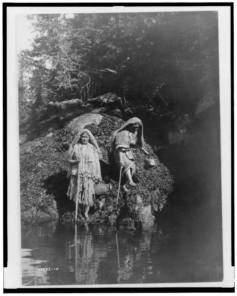 Gathering seaweed--Clayoquot, 1910