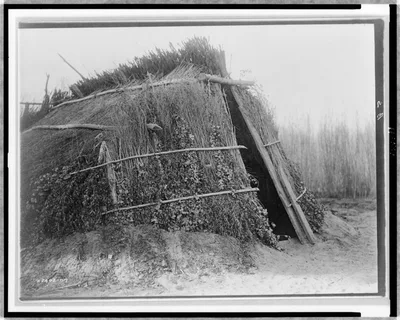 Chemehuevi house, 1924