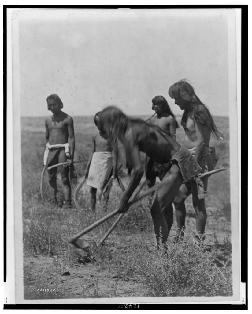 Digging out the snakes--Hopi, 1907